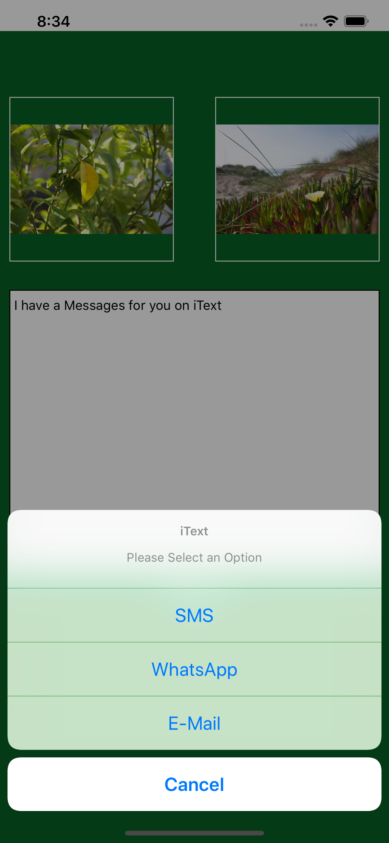 i-Text