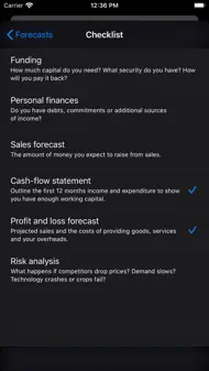 Business Plan iphone bilder 3