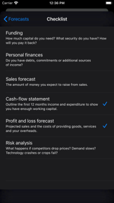Business Plan screenshot