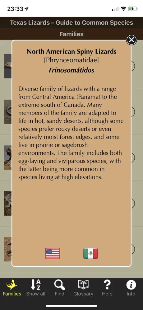 Texas Lizards