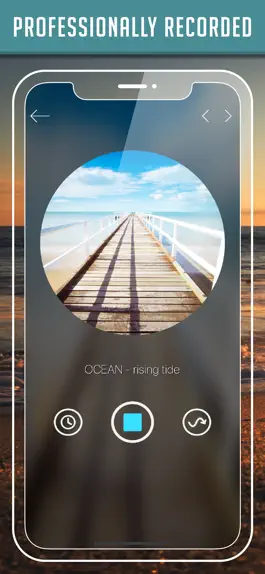 Game screenshot Nature Soundscapes apk