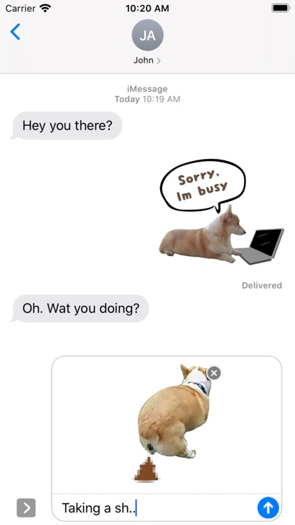 Welsh Corgi's style Part 2