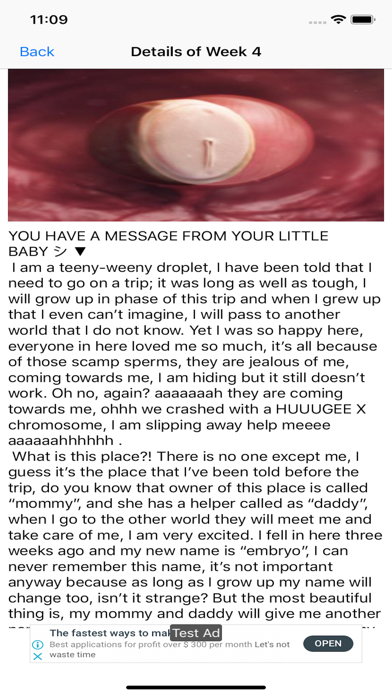 Day by Day Pregnancy Tracker screenshot