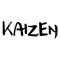 Welcome to the Kaizen Physical Therapy App