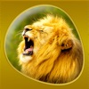 Icon Animals 360 - Wildlife Gold