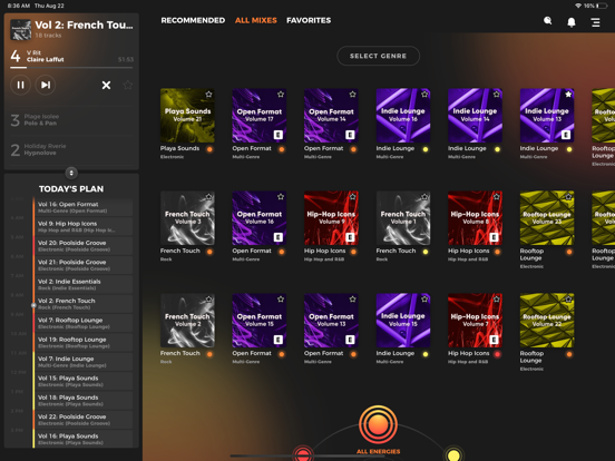 Raina iPad screenshot 2 - Music app
