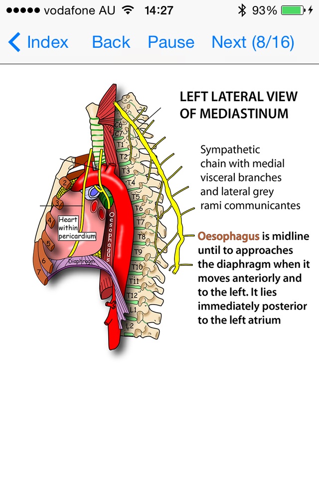 Tricky Areas of Anatomy screenshot 3