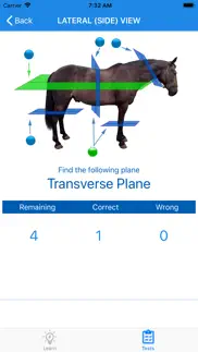 equine anatomy learning aid iphone screenshot 4