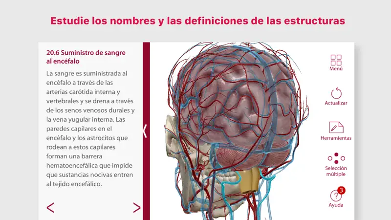 Anatomía & Fisiología screenshot 4 of 5