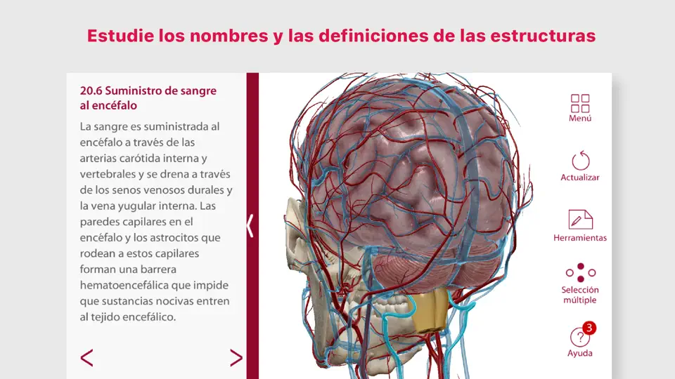 Captura de pantalla de Anatomía & Fisiología en iPhone 4