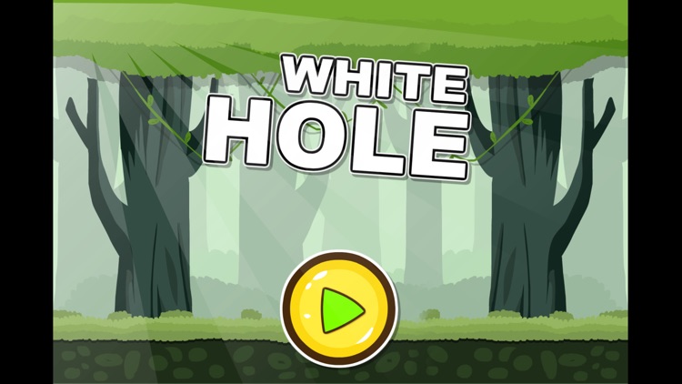 White Hole Go