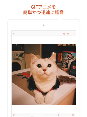 GIF Viewerのおすすめ画像2
