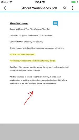 BlackBerry Workspaces screenshot 4