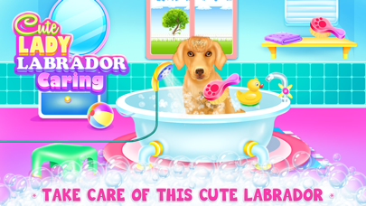 Lady Labrador Caring screenshot 1