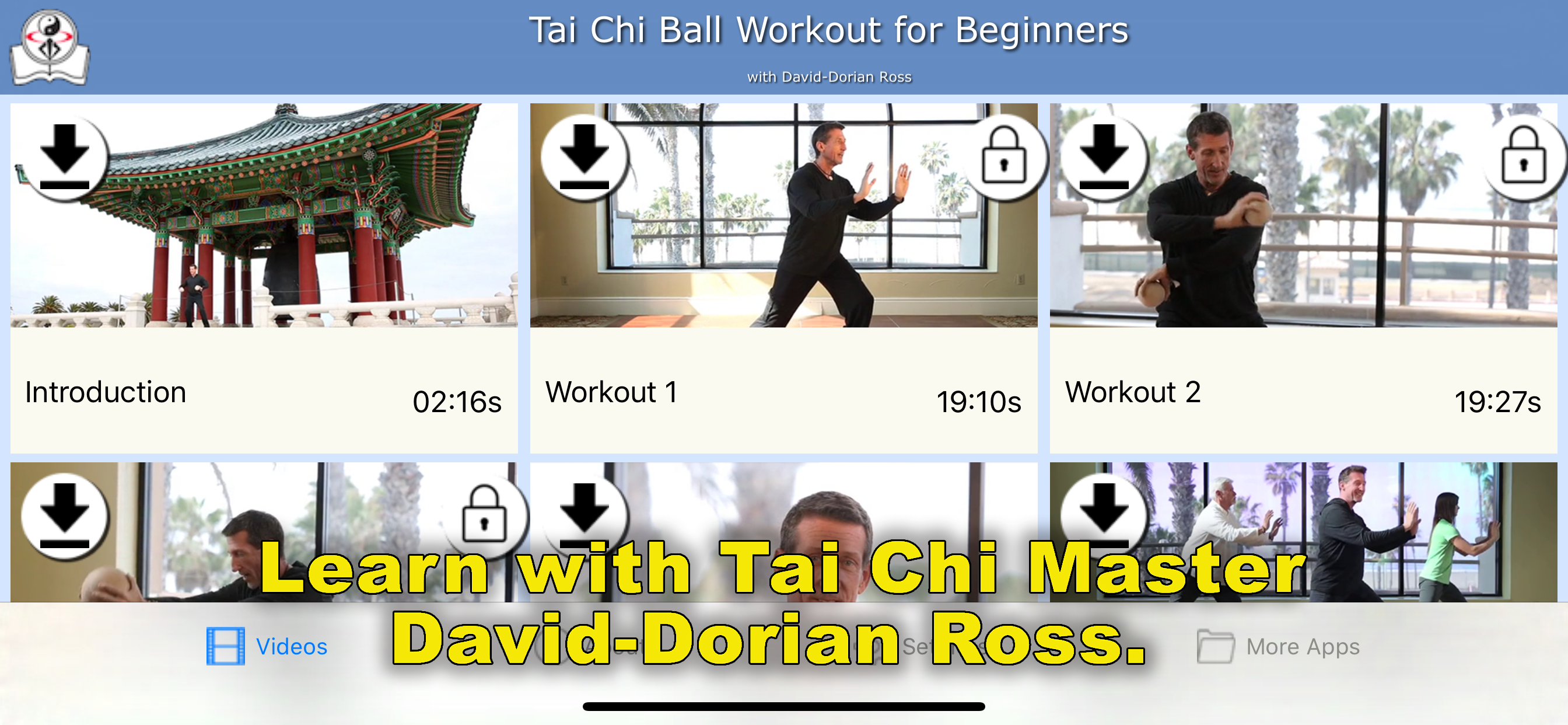 Tai Chi Ball Beginner