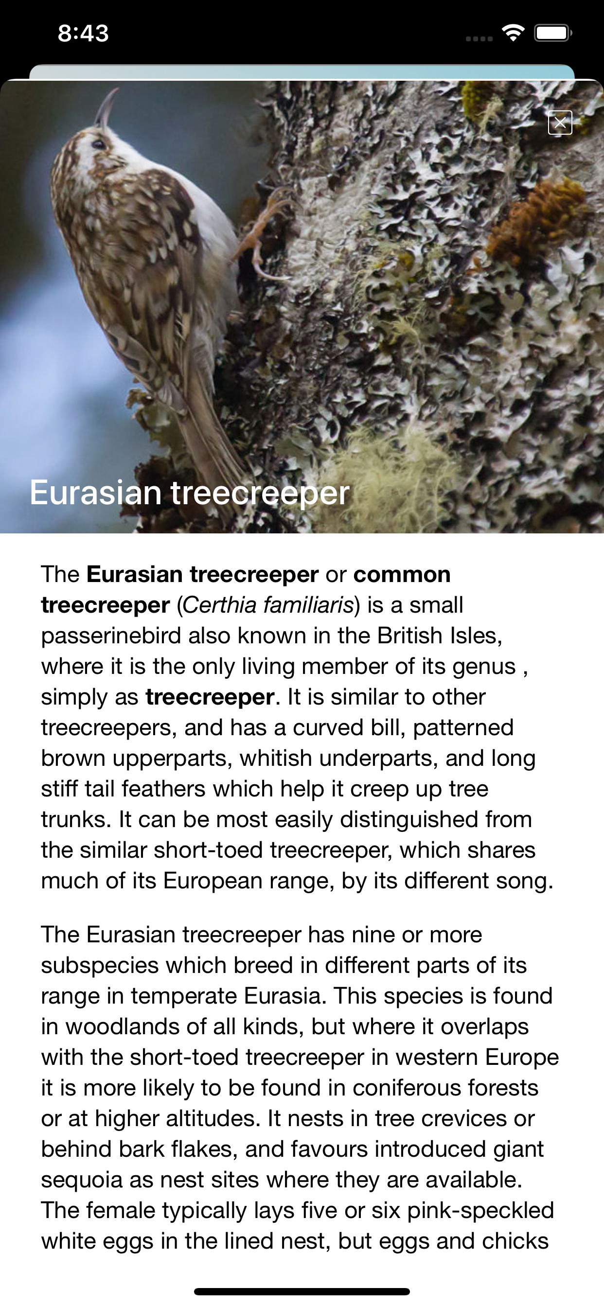 Bird Song/Photo Identification screenshot 6