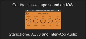 Tape Cassette screenshot #1 for iPhone