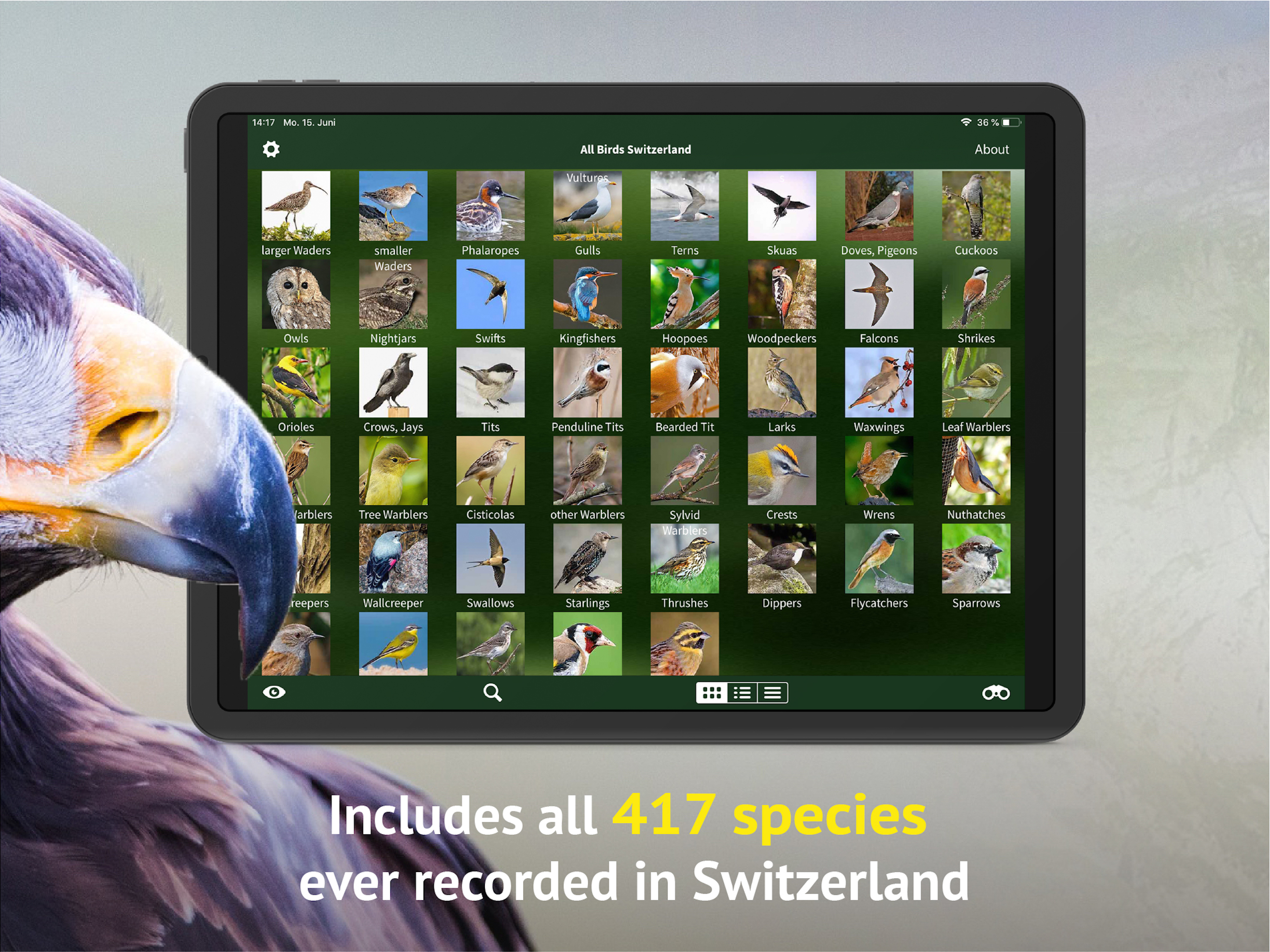 All birds CH - photo guide