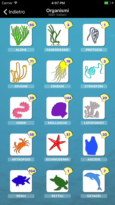 Screenshot #3 pour Pinneggiando