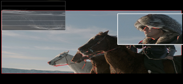 VUER - Live Video Monitor