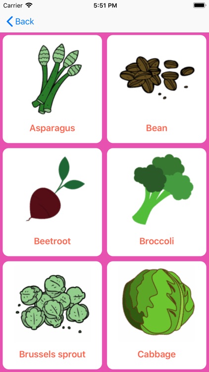 Vegetables Name with Pictures