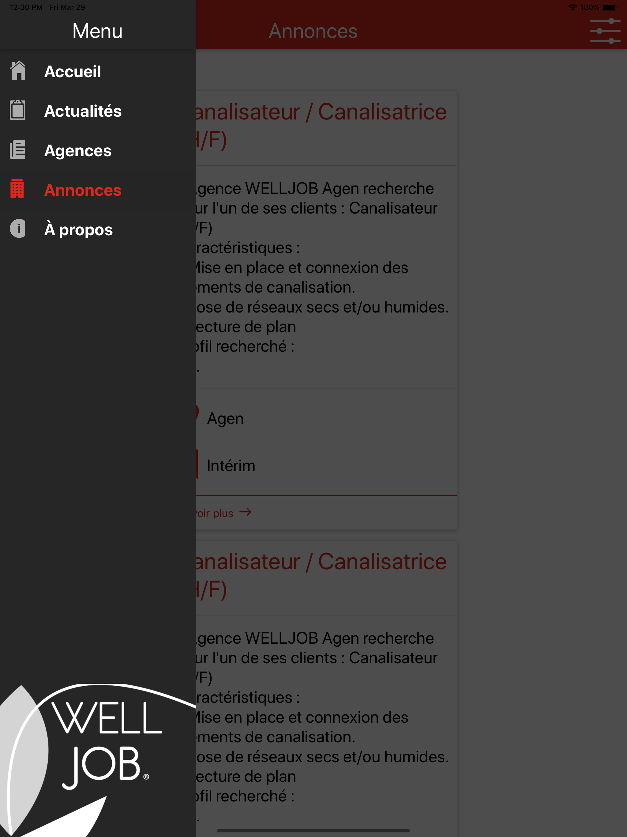 Mon Welljob