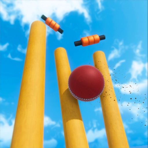 Cricket World Cup Mayhem 2019 icon