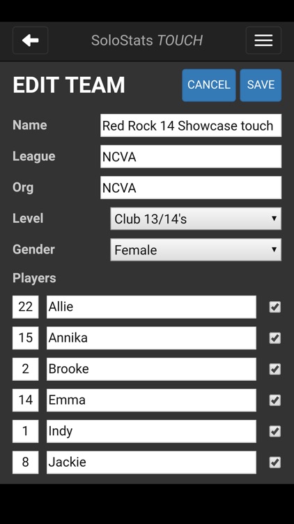 SoloStats Touch Volleyball