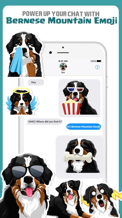 Bernese Mountain Dog Emoji Screenshot 3 - AppWisp.com Bernese Mountain Dog Emoji Screenshot 3 - AppWisp.com