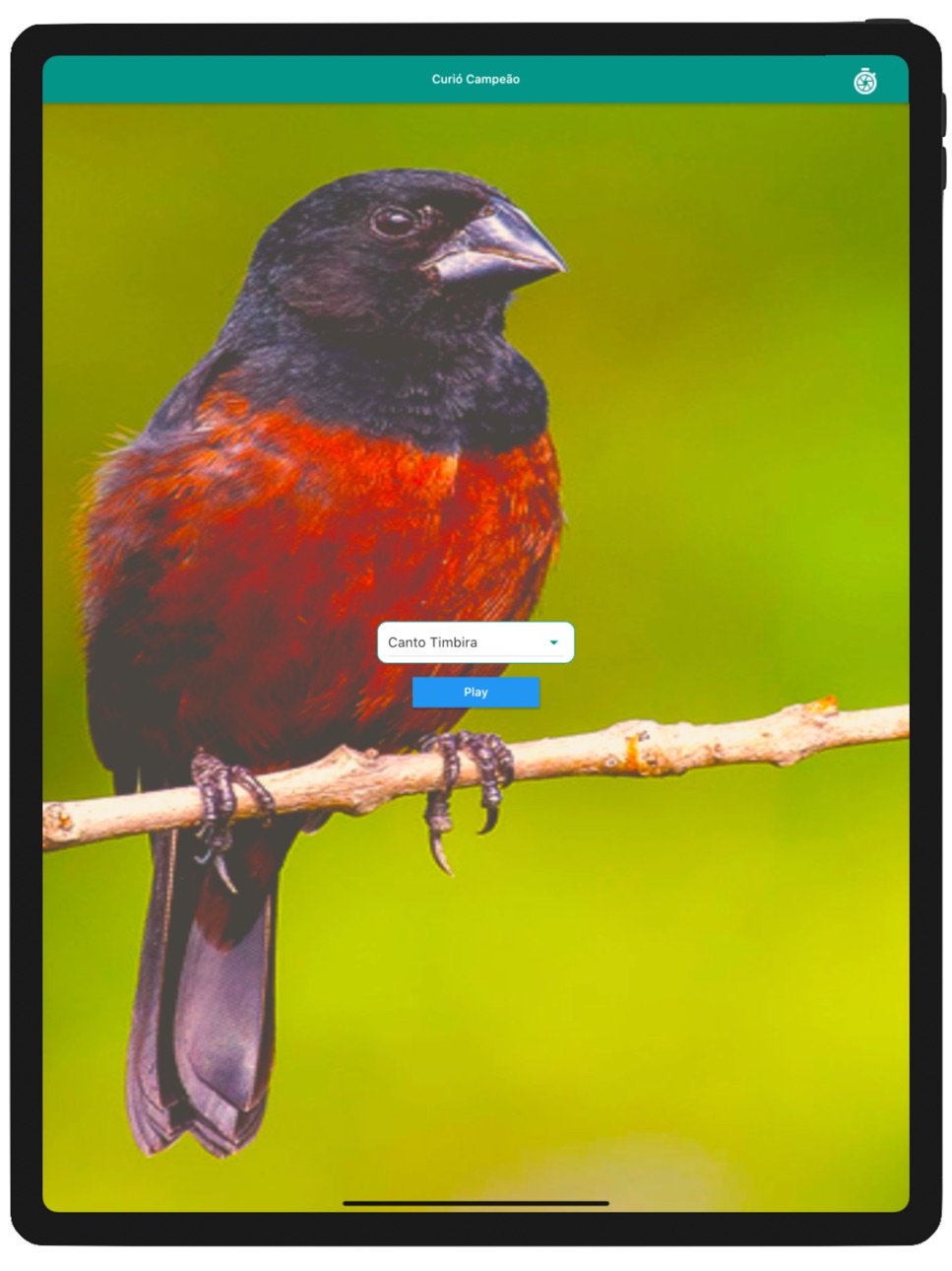 iPad screenshot