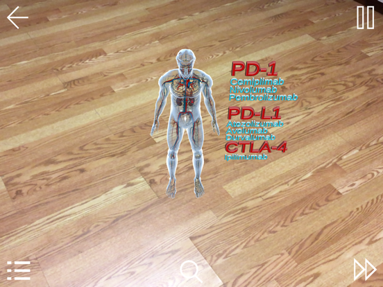 Screenshot #4 pour IRAE-AR