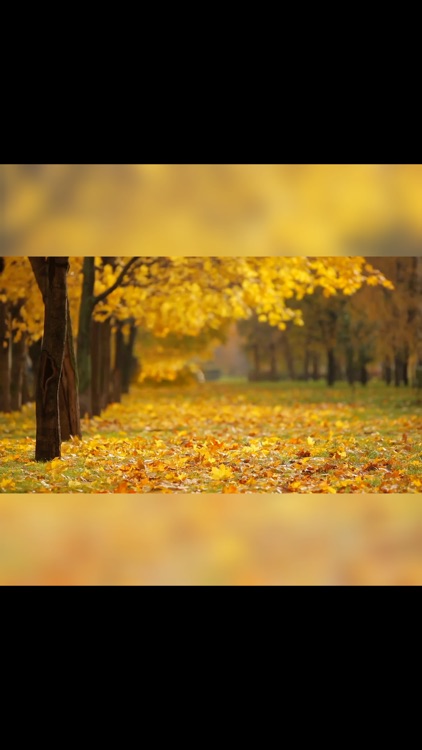 Video Resize & Scale - HD screenshot-7