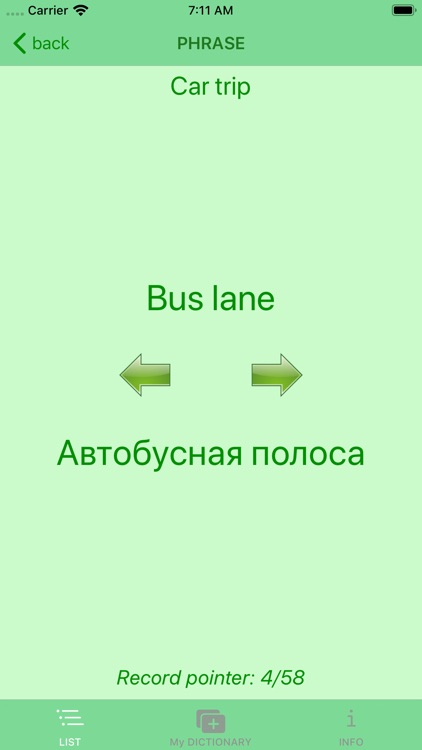 Travel phrases screenshot-4