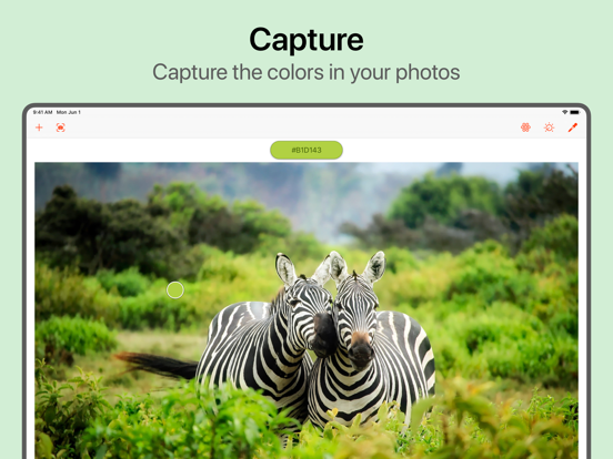Colordrop: Color Picker iPad screenshot 1 - Developer Tools app