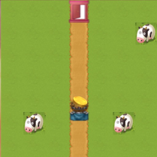 Distance Instruction