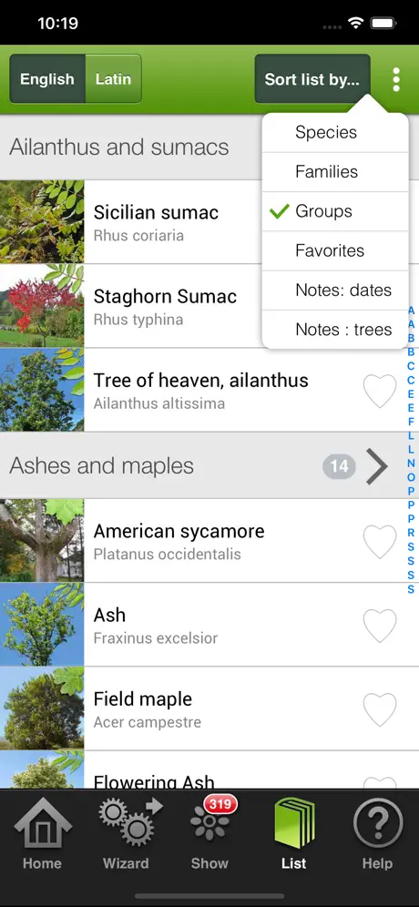Trees & shrubs