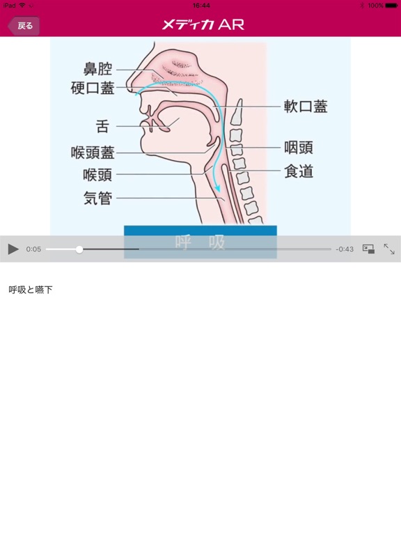 メディカAR iPad screenshot