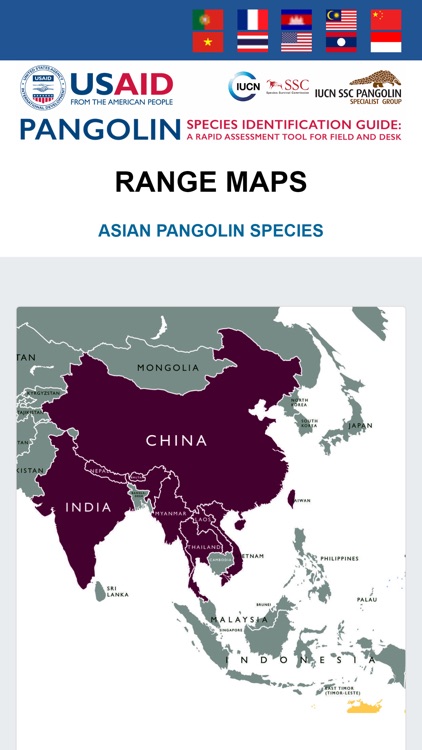Pangolin Species ID Guide
