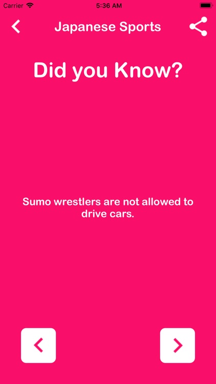 Traditional Japanese Sports screenshot-3