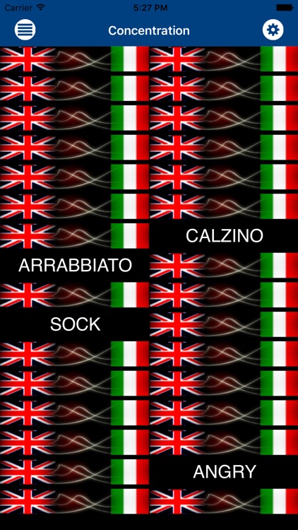 Scolaro: Italian Flashcards screenshot-3