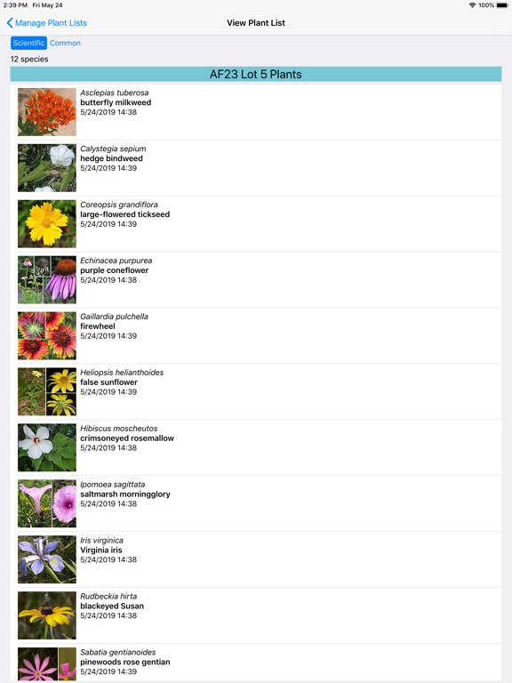 Louisiana Wildflowers iPad screenshot 7 - Education app