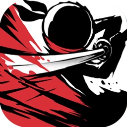 Ninja Action