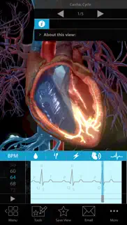 physiology & pathology iphone screenshot 1