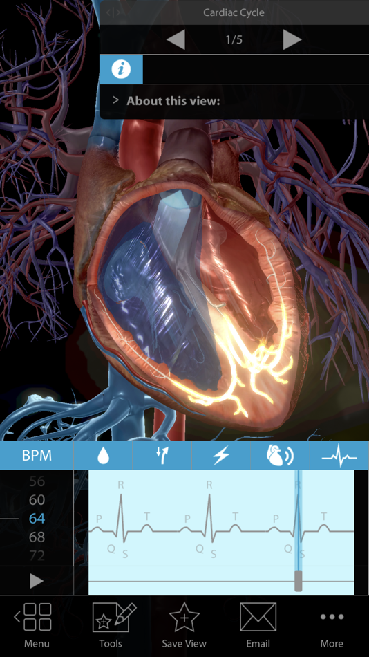 Physiology & Pathology - 1.1.39 - (iOS)