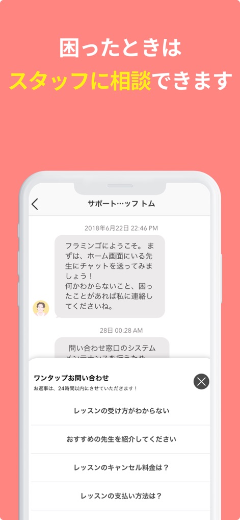 Flamingo - Teach Language - Education App | MWM