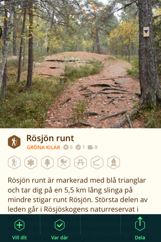 Gröna kilar - náhled