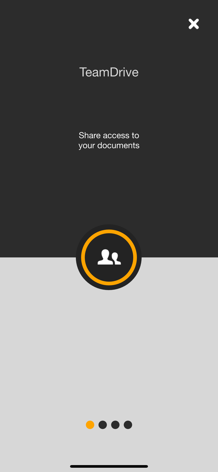 TeamDrive 5 screenshot 1