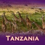 Tanzania Tourist Guide app download