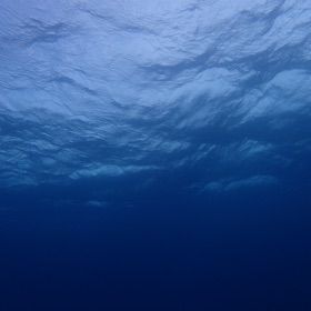 Apnoea Training & Testing