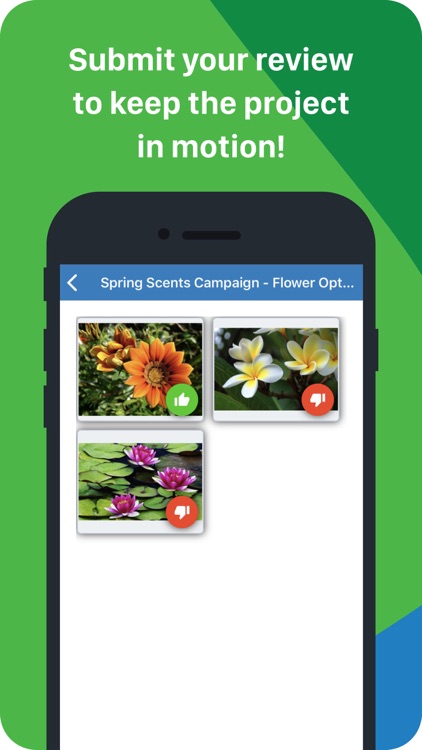 Lytho Review screenshot-4